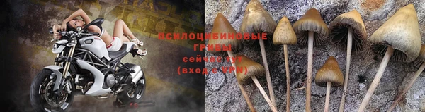 ECSTASY Абдулино